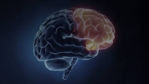 Figuring Out Frontotemporal Dementia: A Look at Social & Emotional Impacts