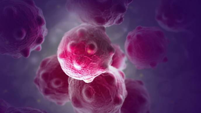 ReachMD Healthcare Image