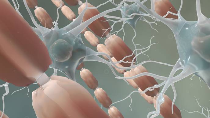 ReachMD Healthcare Image