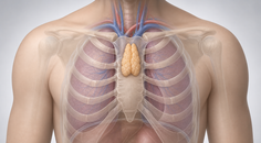 single port robotic thymectomy at miami early experience and recovery