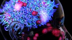 ReachMD Healthcare Image