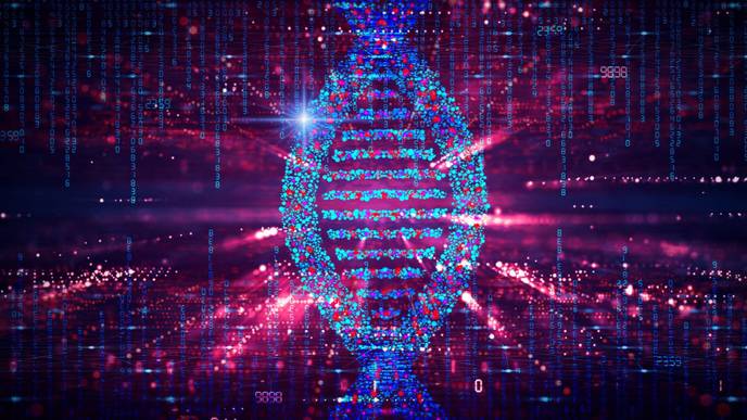 ReachMD Healthcare Image