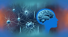 exercise induced mitochondrial transfer neurorepair