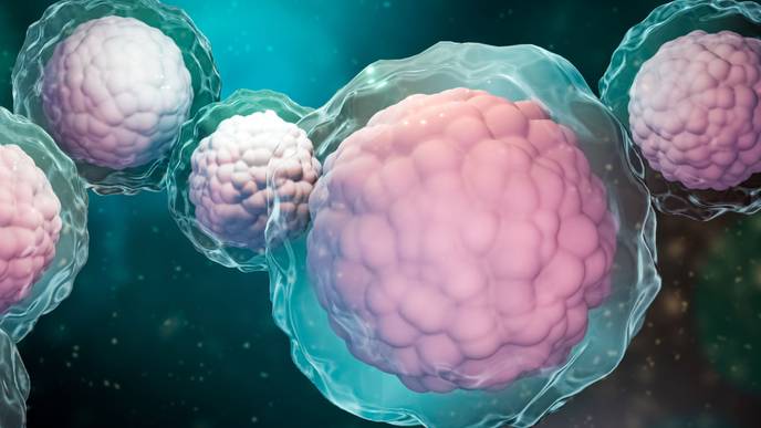 ReachMD Healthcare Image