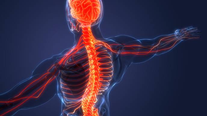 ReachMD Healthcare Image