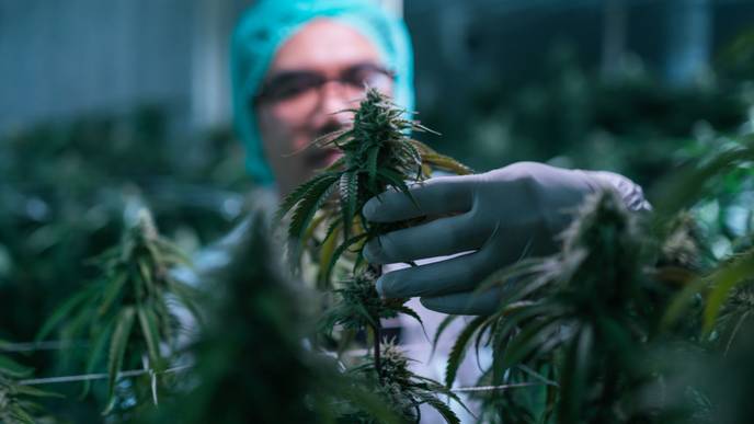 ReachMD Healthcare Image