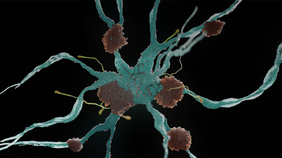 ReachMD Healthcare Image