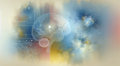 early neural circuits infant brain development