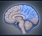 cerebral oxygenation guided resuscitation and mri outcomes in very preterm neonates