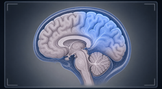 cerebral oxygenation guided resuscitation and mri outcomes in very preterm neonates