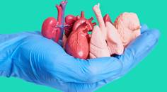 ReachMD Healthcare Image