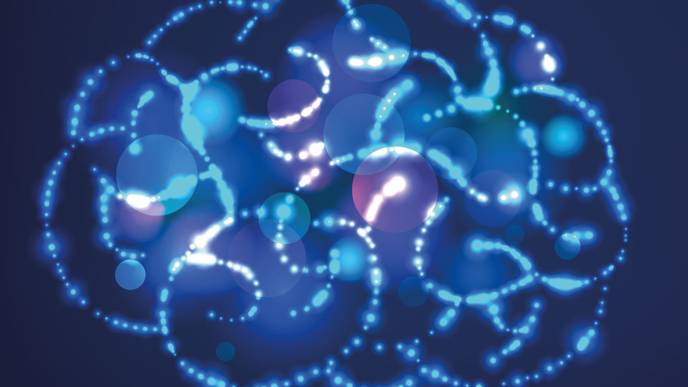 ReachMD Healthcare Image