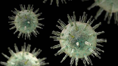 Investigating the Potential Link Between Epstein-Barr Virus & MS