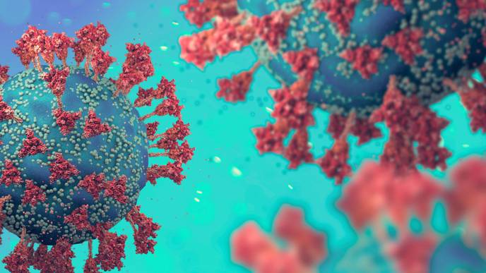 ReachMD Healthcare Image