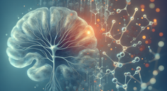 neuronal idol deletion links ldlr apoe regulation to reduced amyloid and synaptic changes