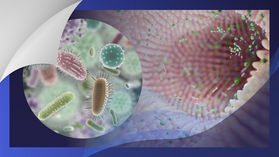 ReachMD Healthcare Image