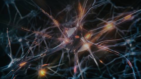 Could T Cells Lead to New MS Treatments?