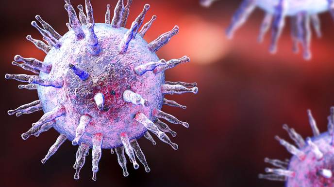 ReachMD Healthcare Image