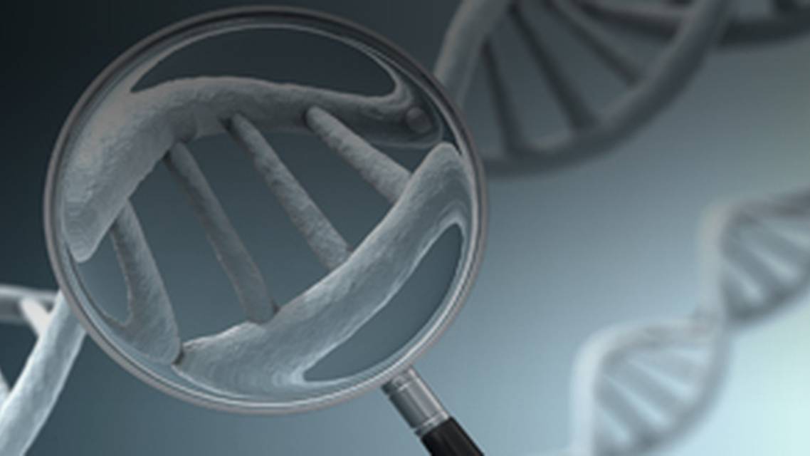 ReachMD Healthcare Image