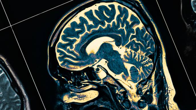 ReachMD Healthcare Image