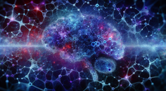 unveiling memory enhancers new frontiers in brain aging research