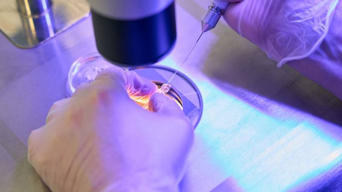 ReachMD Healthcare Image