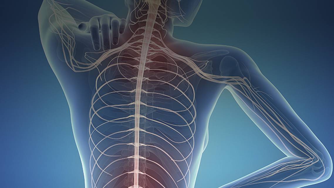 ReachMD Healthcare Image