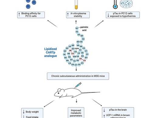 ReachMD Healthcare Image