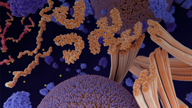 ReachMD Healthcare Image