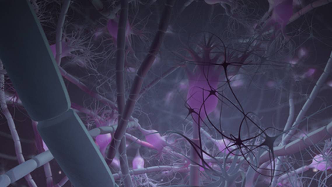 ReachMD Healthcare Image