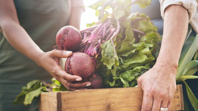 ReachMD Healthcare Image