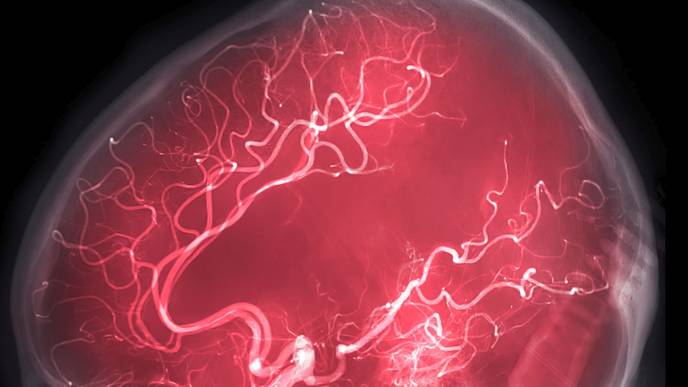 ReachMD Healthcare Image