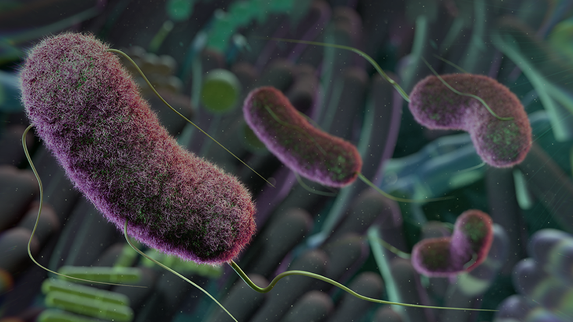 ReachMD Healthcare Image