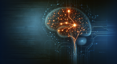 genetic analysis links addiction risk to reward impulse and externalizing pathways