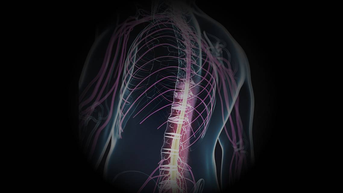 ReachMD Healthcare Image