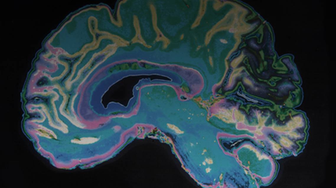 ReachMD Healthcare Image