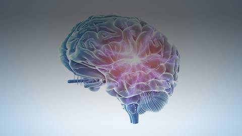 Uncovering Unknowns in TBI: An Exploration of Manifestations in Women