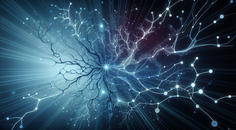 advancements in brain clearance mechanisms