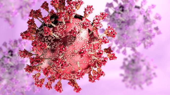 ReachMD Healthcare Image