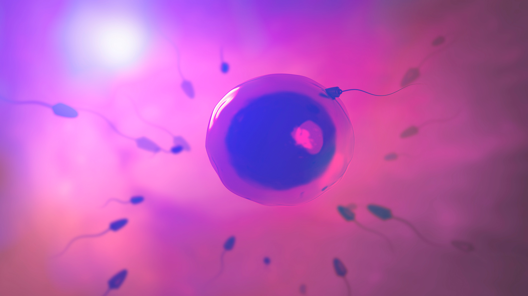 Reproductive Endocrinology & Infertility - Global Neurology Academy